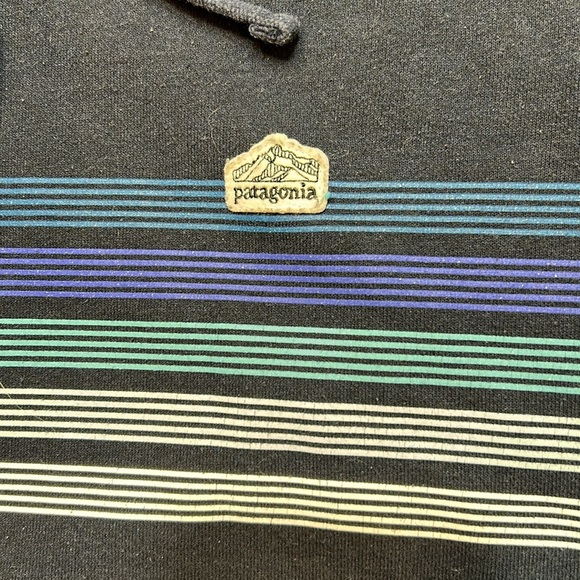 Patagonia hoodie size Medium.  Excellent used condition. - Picture 2 of 7